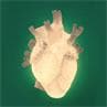 HEART Blanc Applique Cœur Porcelaine H32cm
