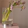 BOUQUET Transparent Vase lumineux LED rechargeable Verre H29cm