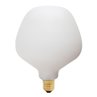 ENNO  Ampoule LED Verre Dépoli Sphérique E27 Ø13.4cm 2700K 6W = 45W 540 Lumens Dimmable