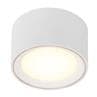 FALLON Blanc Spot LED saillie dimmable métal H6cm