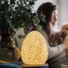 THE DAISY LAMP ivoire Lampe LED RGB sans fil H22cm