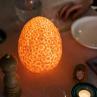 THE DAISY LAMP Melon Lampe LED RGB sans fil H22cm