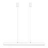 HAZEL BRANCH Blanc / Acier Suspension LED avec Variateur L100cm