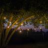 LA LUCIOLE Transparent Guirlande lumineuse d'extérieur lumineuse d'extérieur 15 LED 15m