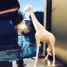 GIRAFFE IN LOVE XS Blanc Lampadaire Girafe H100cm