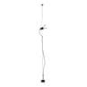 PARENTESI Blanc Spot sur câble vertical Dimmer H180-400cm