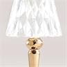 BATTERY or et transparent Lampe baladeuse LED d'extérieur rechargeable H22cm